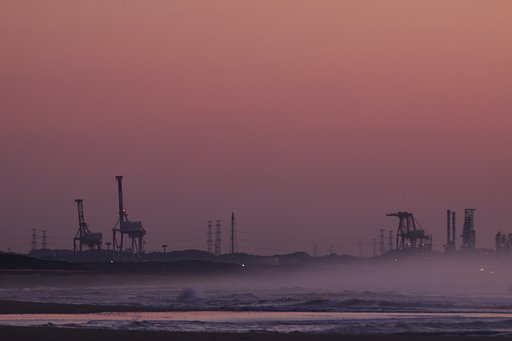 海辺のサバンナ
