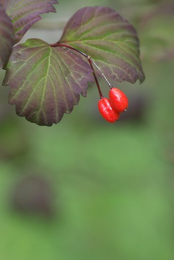 ぽつんと