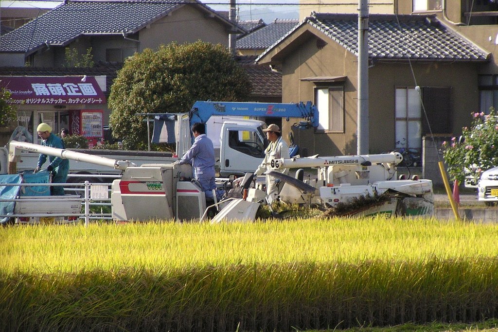 収穫その2