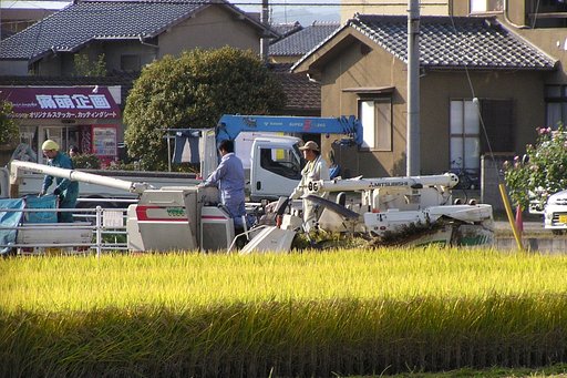 収穫その2