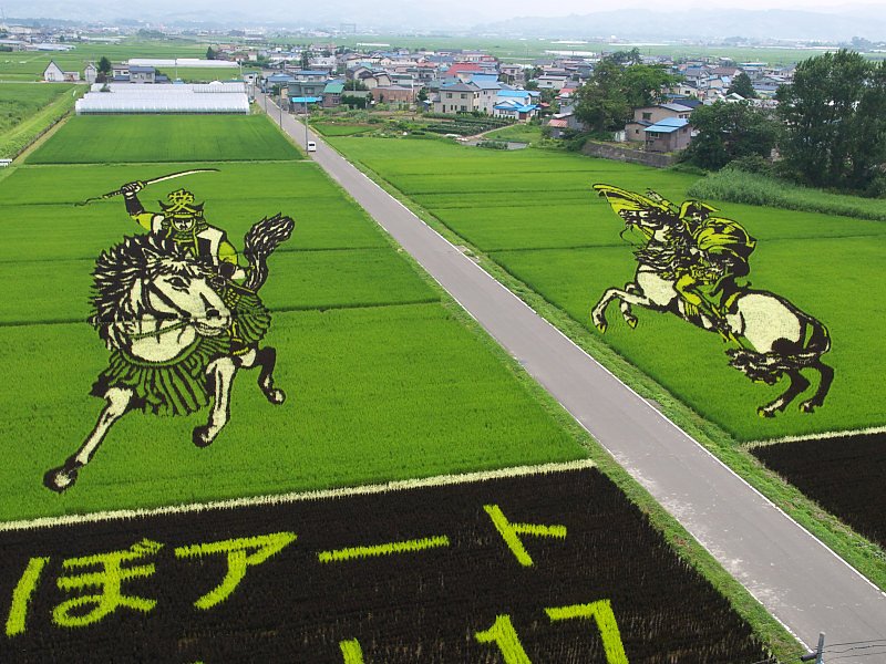田んぼアート