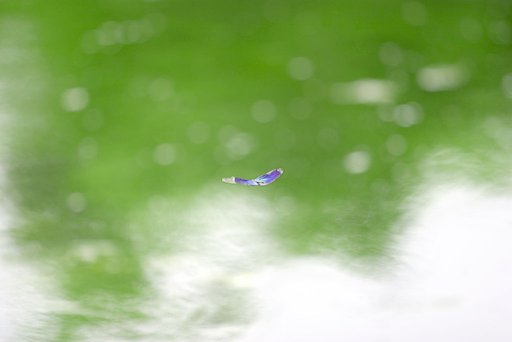 浪漫飛行