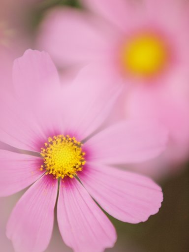COSMOS（宇宙）