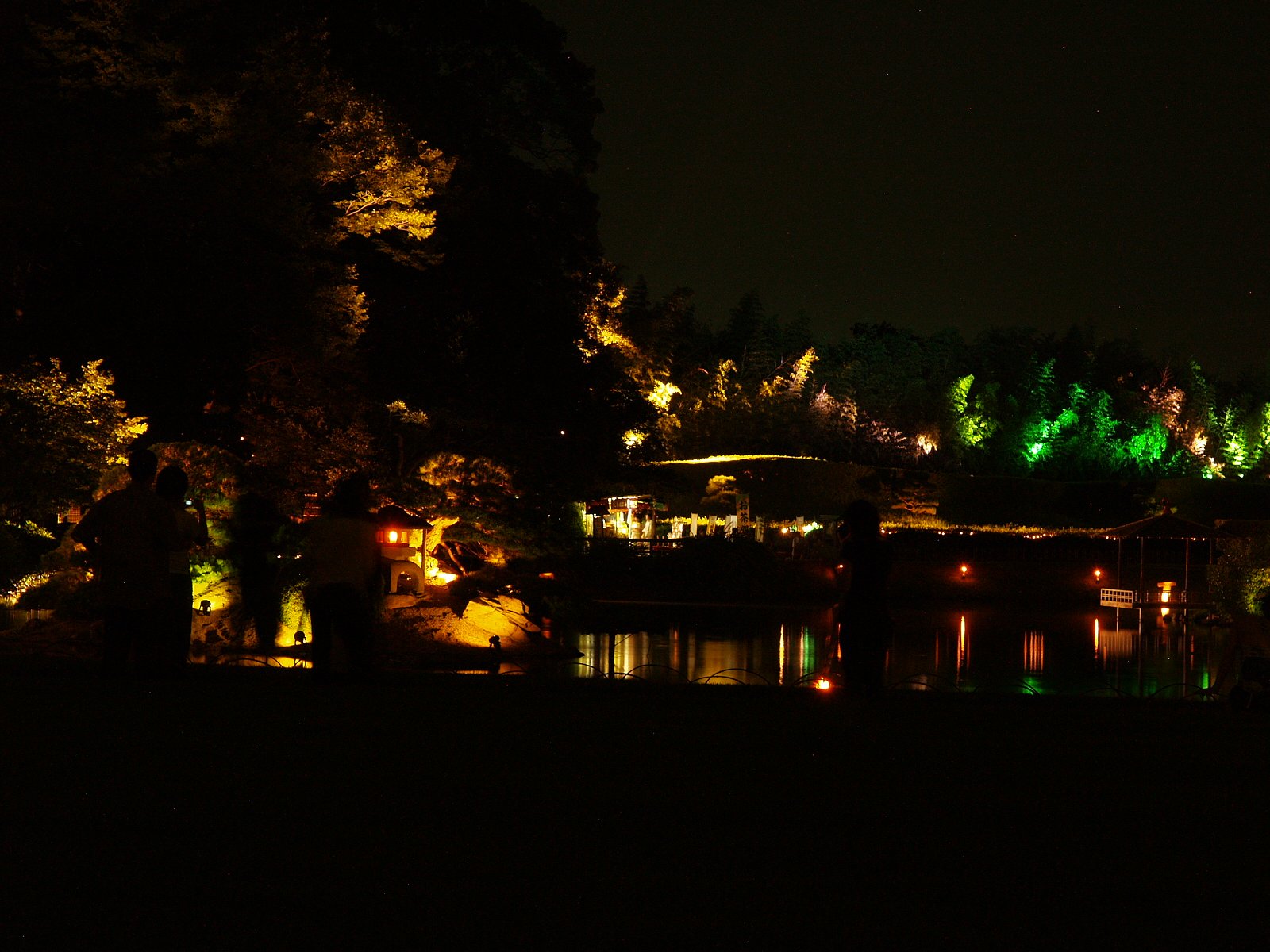 緑黄色の庭園