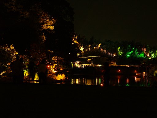 緑黄色の庭園