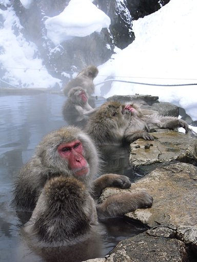 【やすらぎ】湯ったり