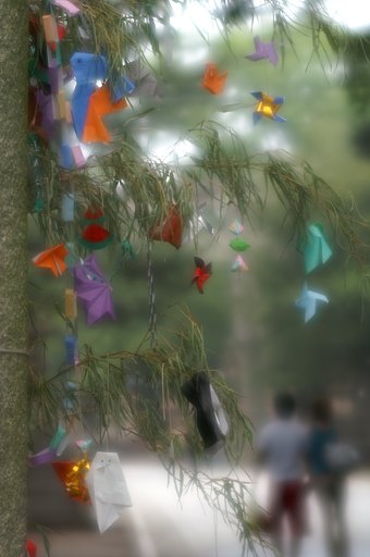 【夏】七夕