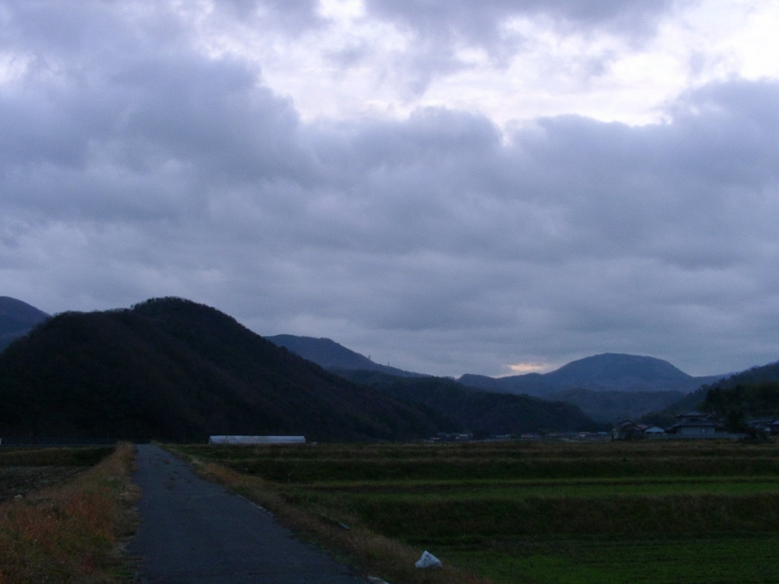 二日続きの雨が止んだ!