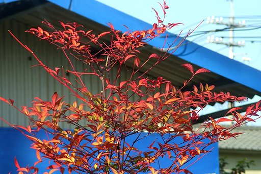 12月14日の写真