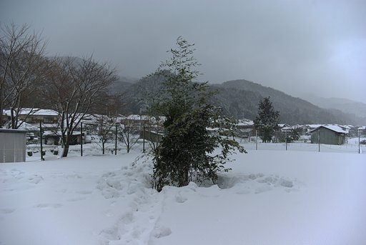 とんどの準備!