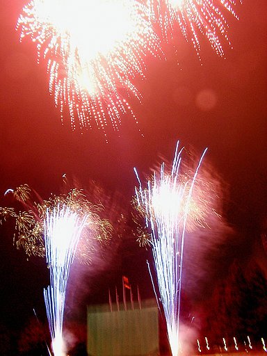 ★夏の夜の夢花火-28 八王子⑪