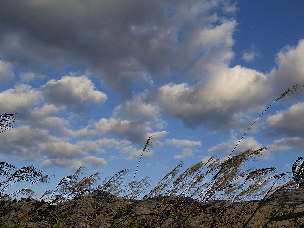 秋の空