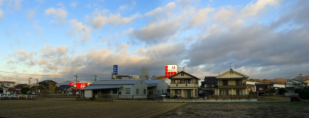 晴れました