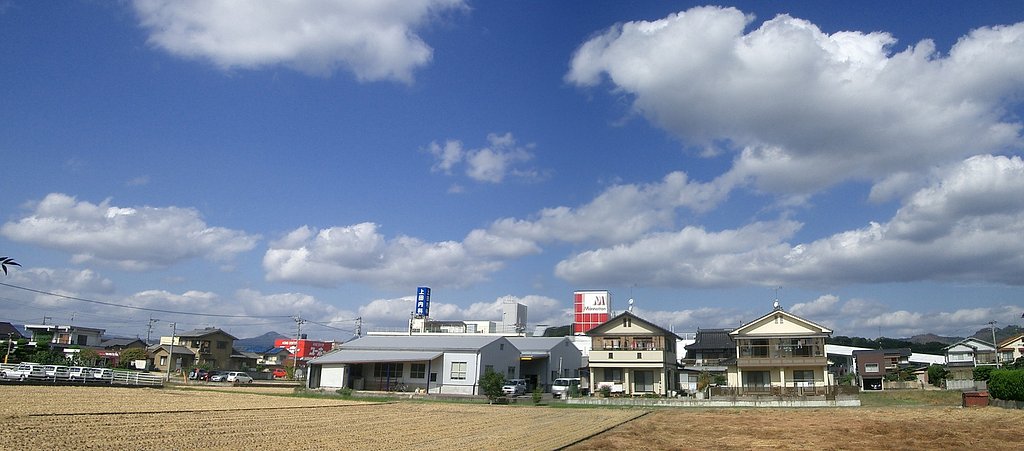快晴なれど風強し