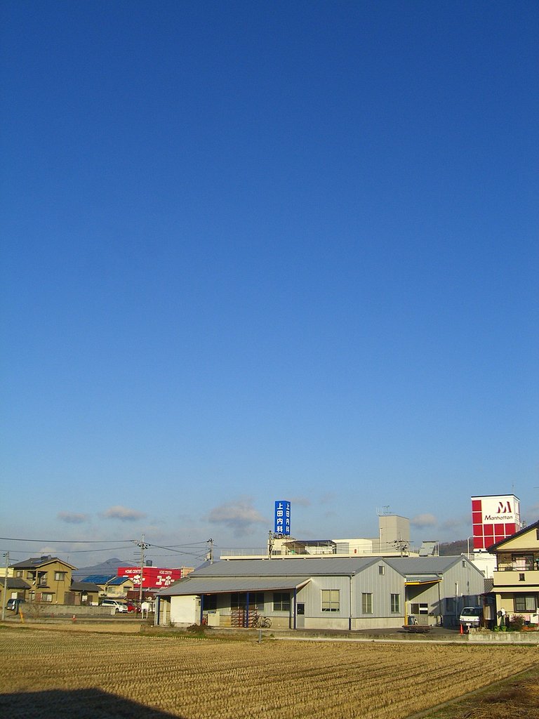 今日も快晴に