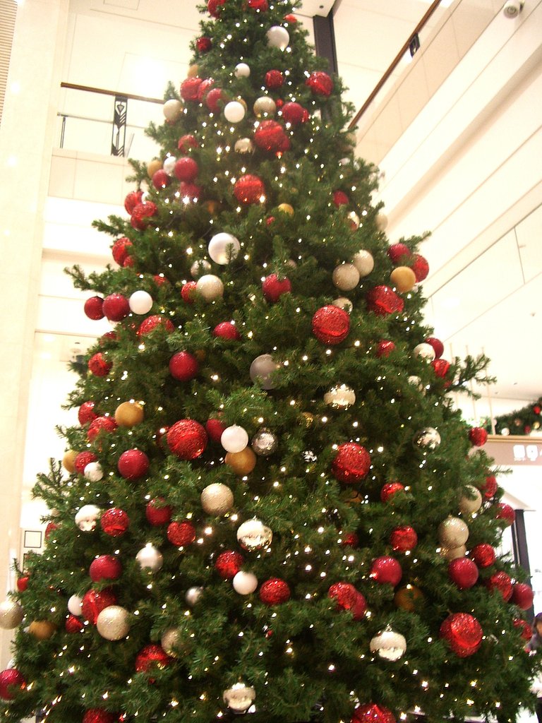 クリスマス　ツリー♪