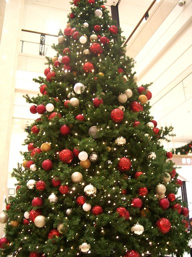 クリスマス　ツリー♪