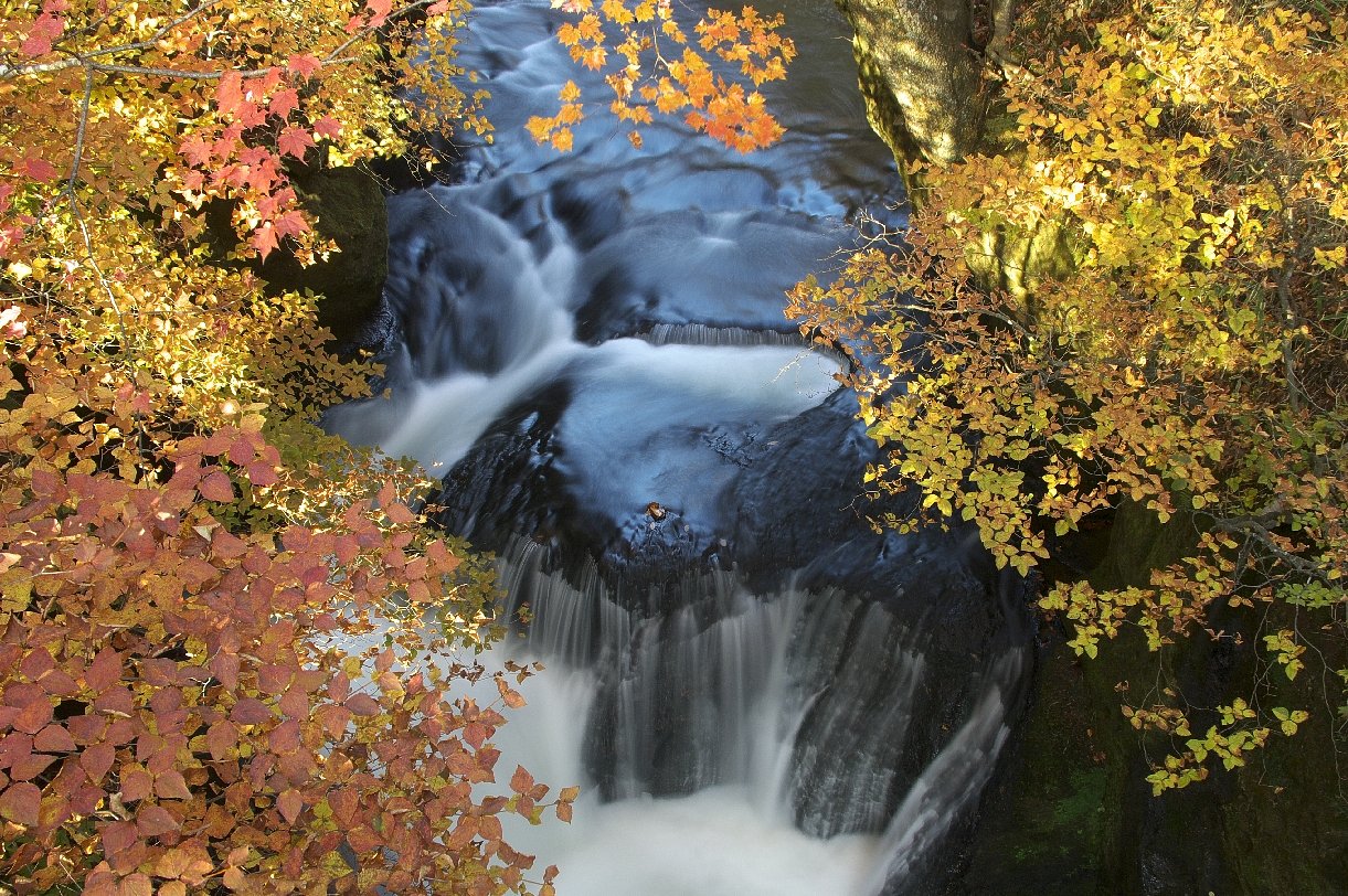 日光の紅葉with竜頭の滝