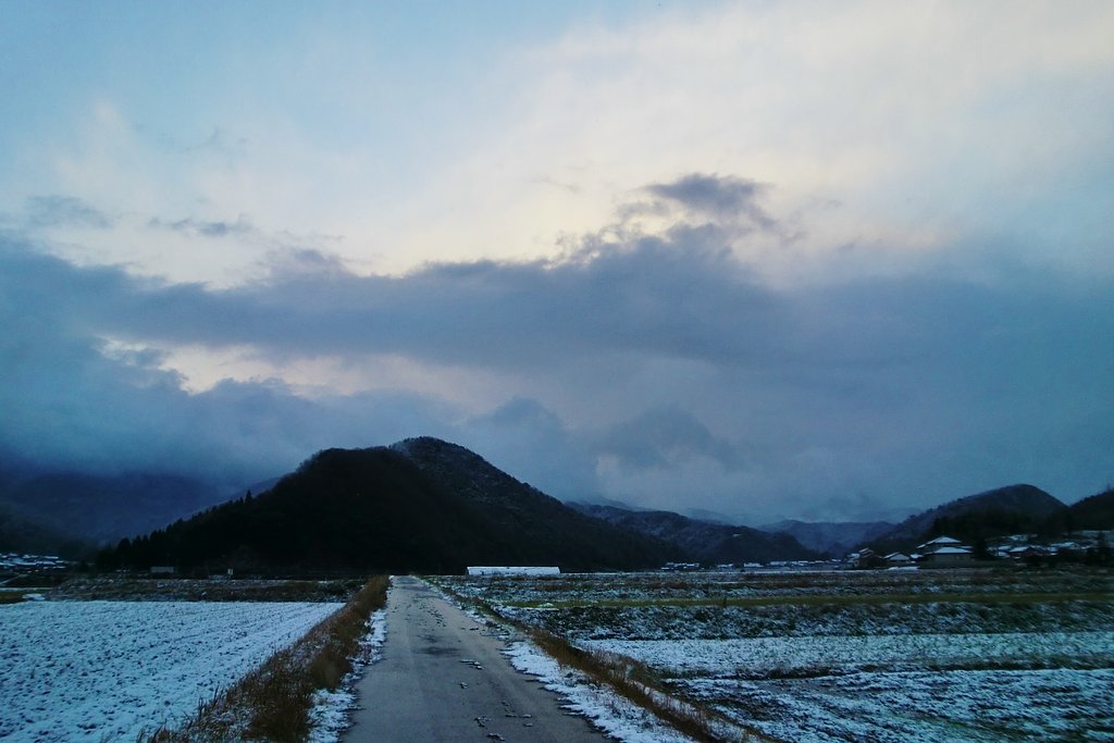 初雪が!