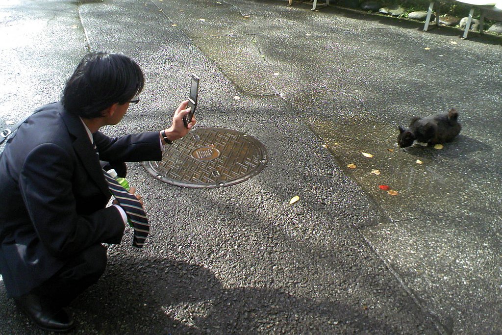 【猫】微妙な距離