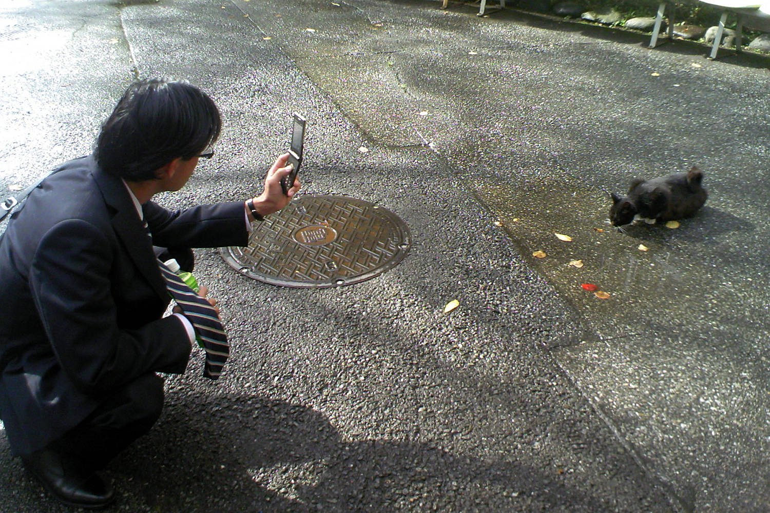 【猫】微妙な距離