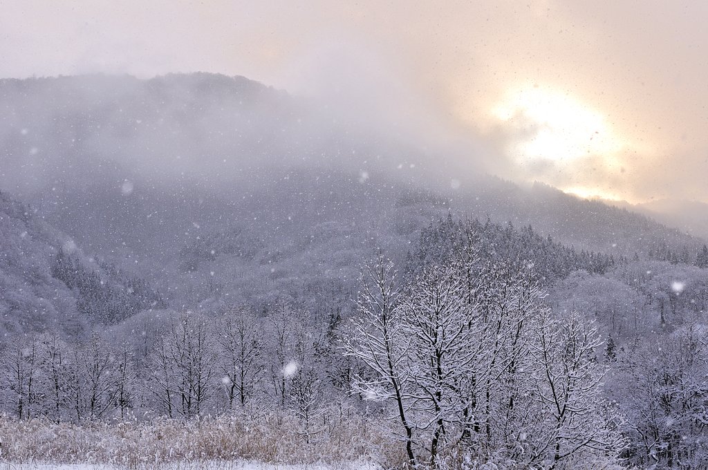 雪の朝