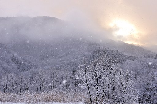雪の朝