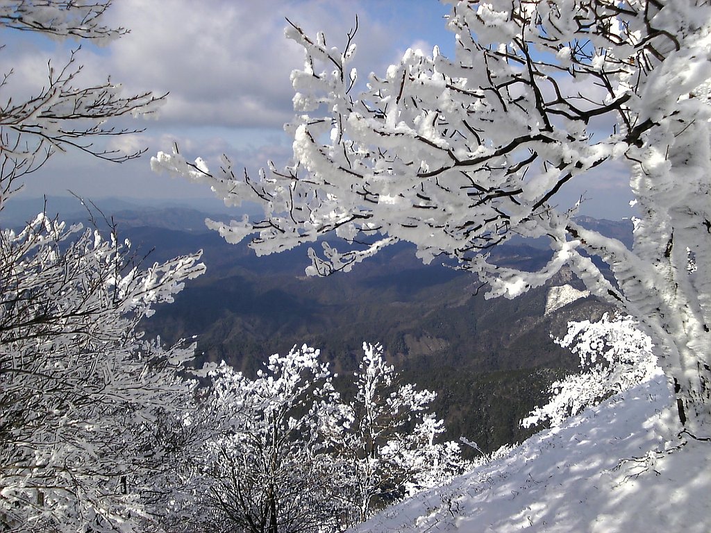 高見山山頂
