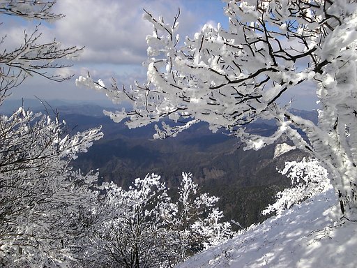 高見山山頂