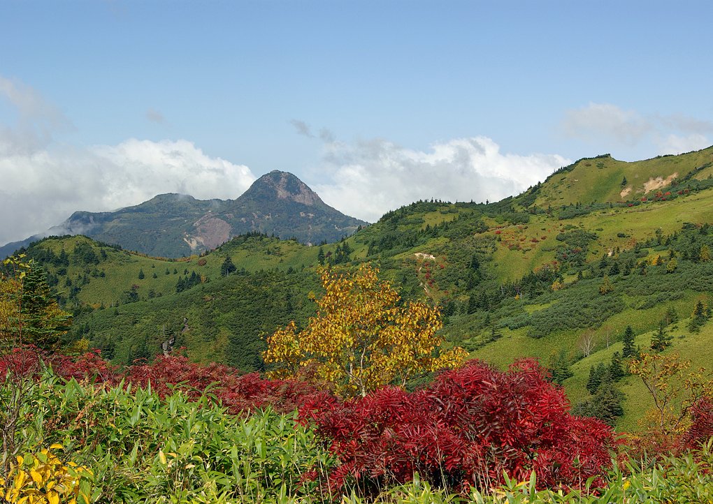 白根山より