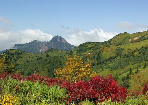 白根山より
