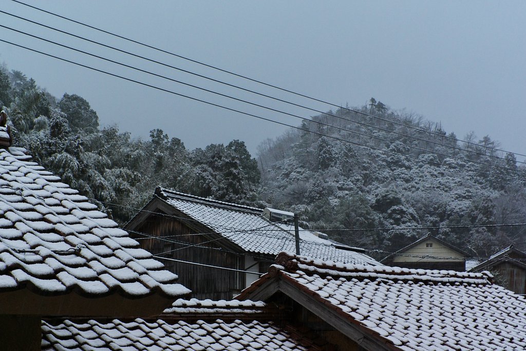 また雪が!