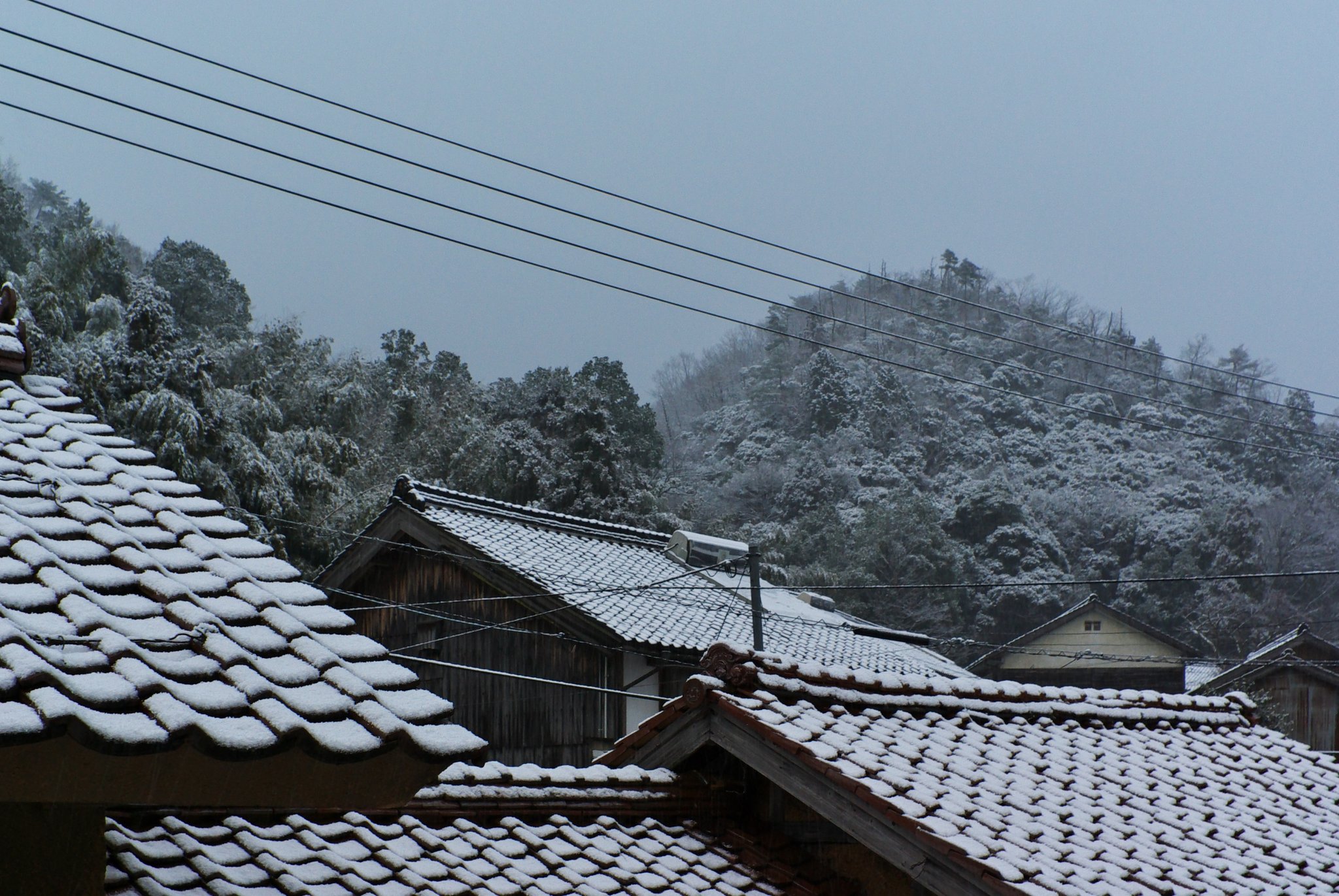 また雪が!