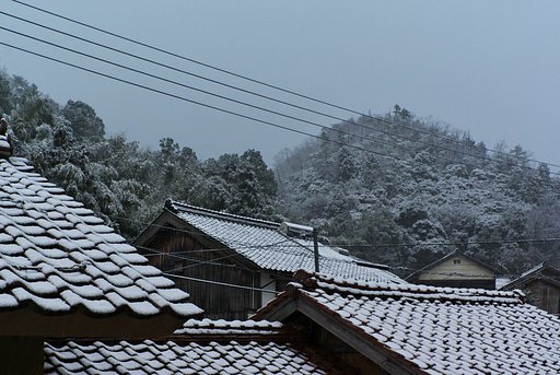 また雪が!