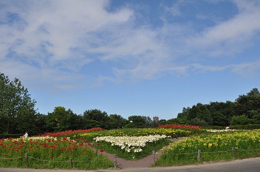 【やすらぎ】花　花
