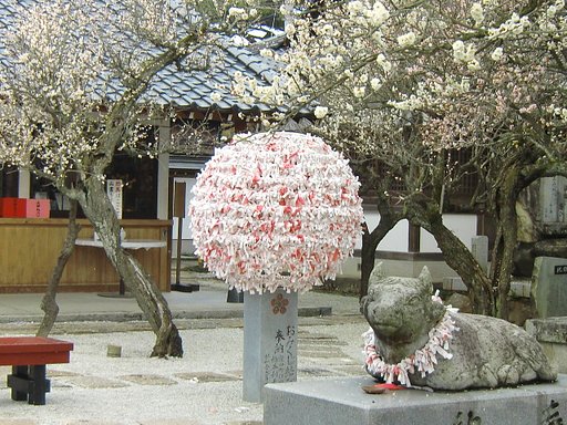 花は撮れずに・・。
