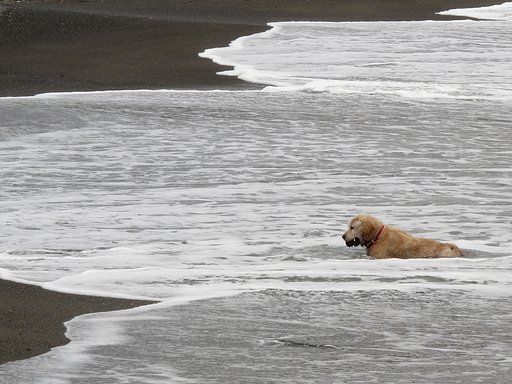 流されないように[流]
