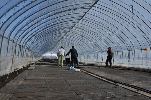 農家の春