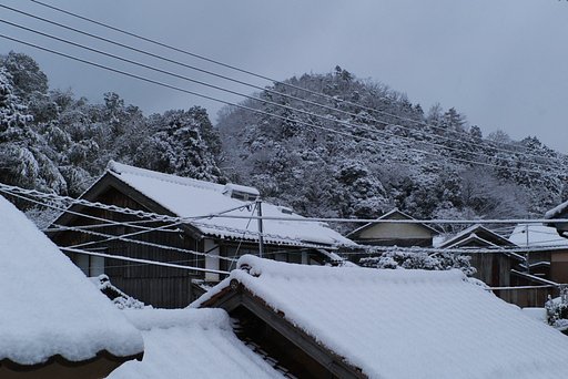 山陰地方母雪に
