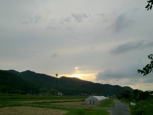 夕方の束の間の太陽!