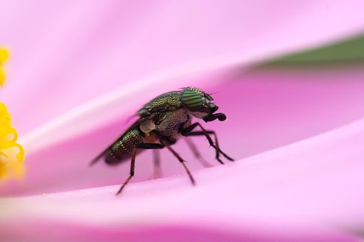 これは何だ！