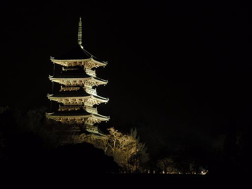 国分寺NEWライトアップ！