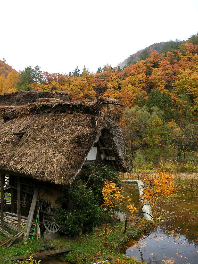 秋の風情