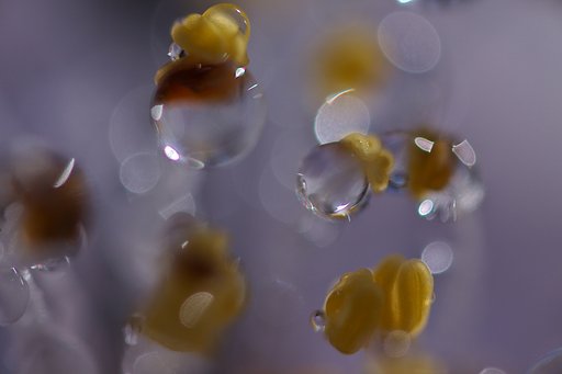 水滴