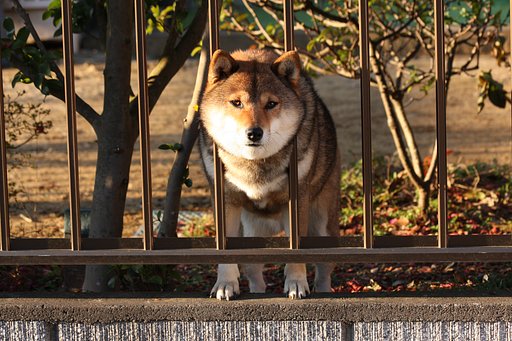はじめまして