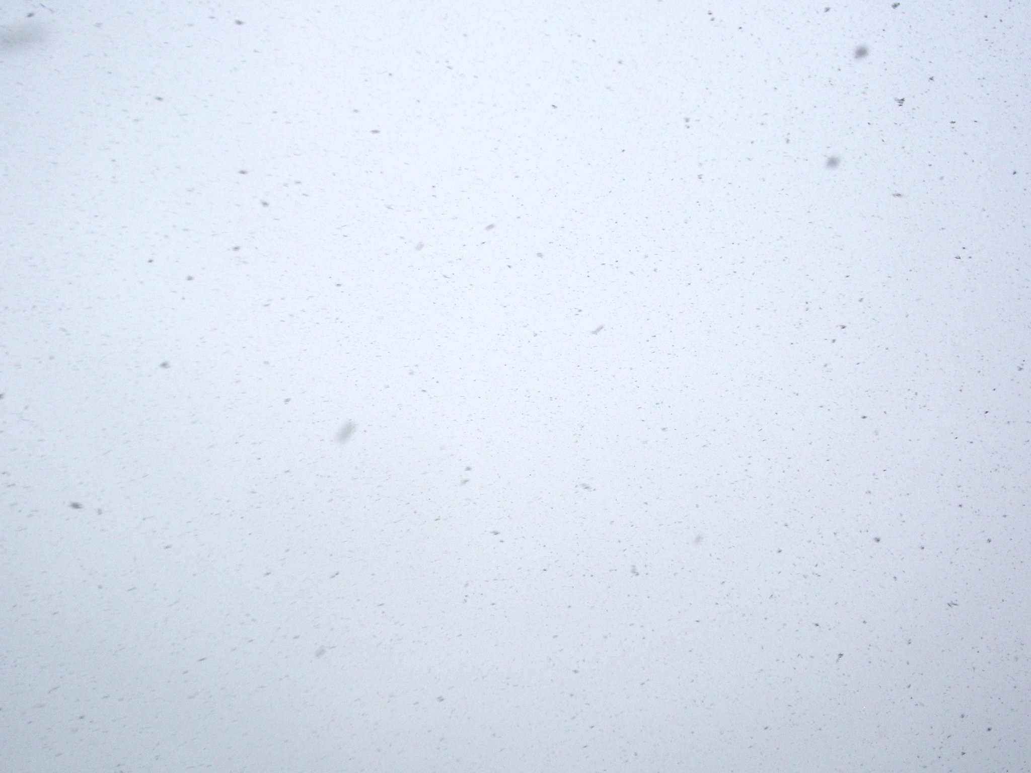 吹雪(^^;