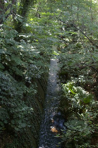 【流】 玉川上水