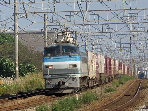 ＦＥ66-117