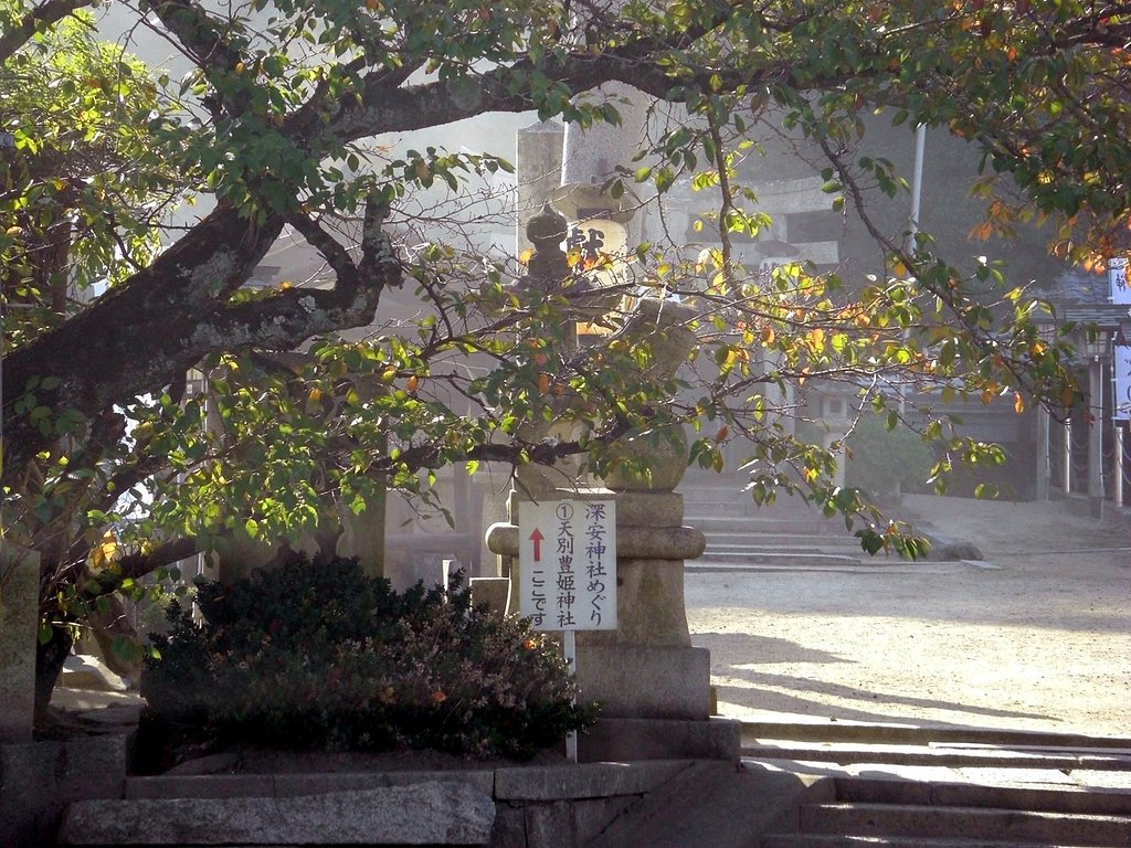 神社の朝