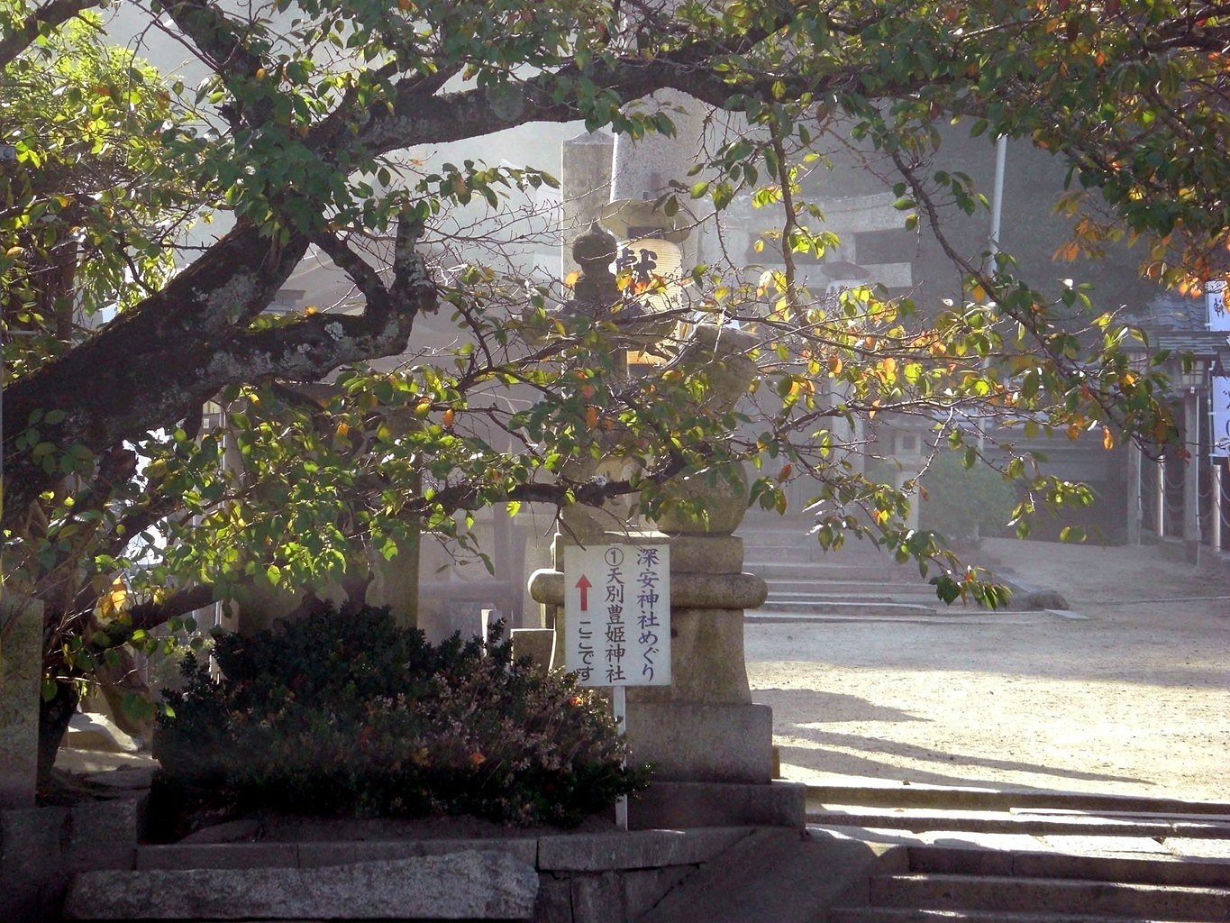 神社の朝